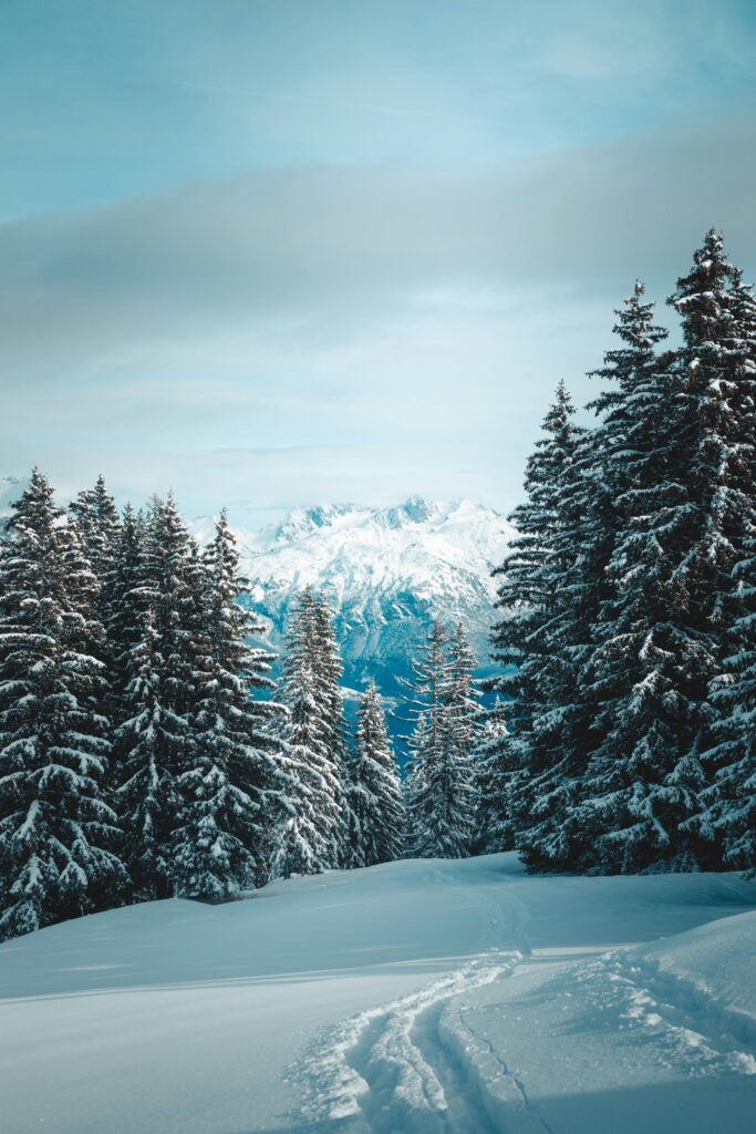 A snowy mountain landscape with trees and snow